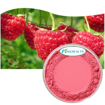 Organic Freeze-Dried Raspberry Powder Manufacturer