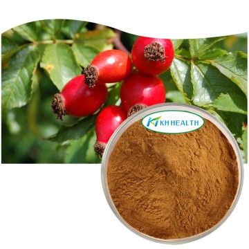 Producător de pulbere de extract organic de fructe de măceșe