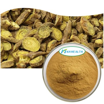 Organic Scutellaria Baicalensis Extract Powder Supplier