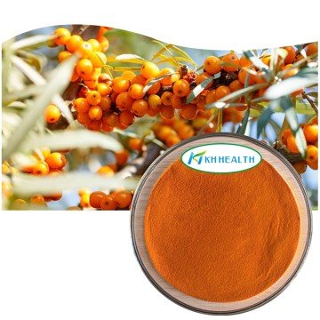 Organic Sea Buckthorn Powder Manufacturer