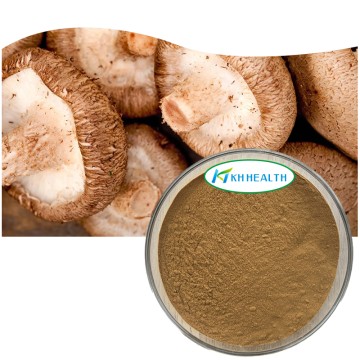 Producent af økologisk shiitake-ekstraktpulver