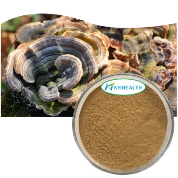 Producător de extract organic de coadă de curcan