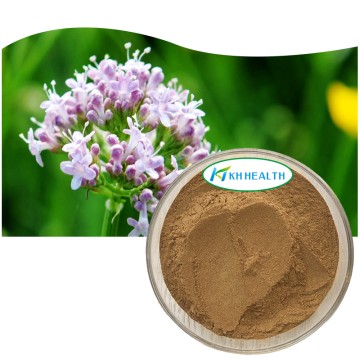 Producător de extract organic de pulbere de valeriană
