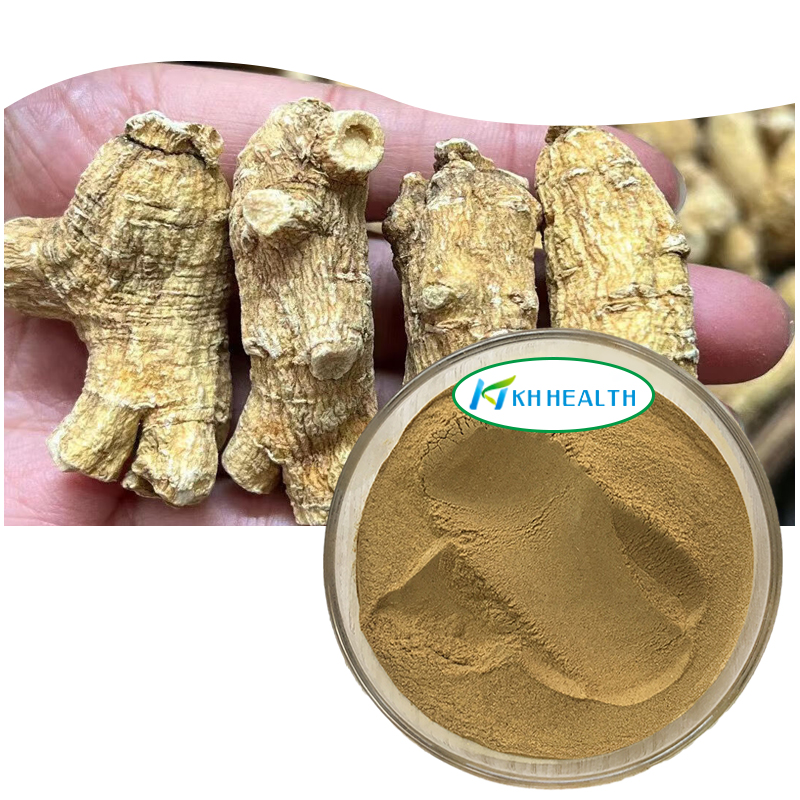 Pudră de extract organic de rădăcină de ginseng american.jpg