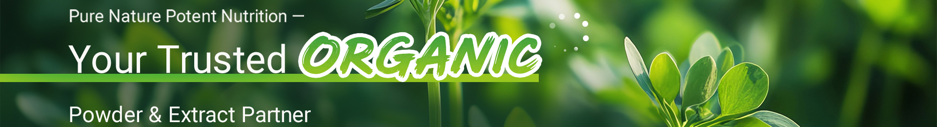 Organic Phycocyanin Powder