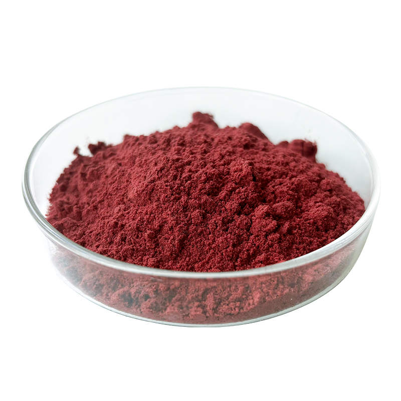 Organic Blackcurrant Powder (2).jpg
