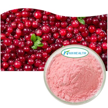 Organic Cranberry Powder Manufacturer