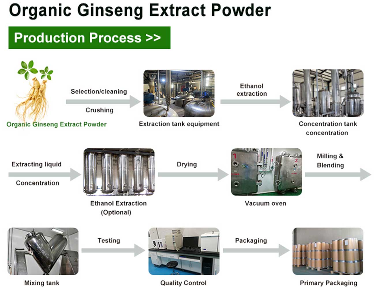 Økologisk ginseng-ekstraktpulver