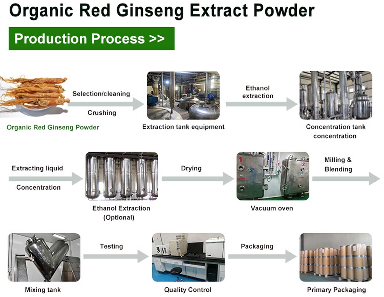 Pudră de extract organic de ginseng roșu