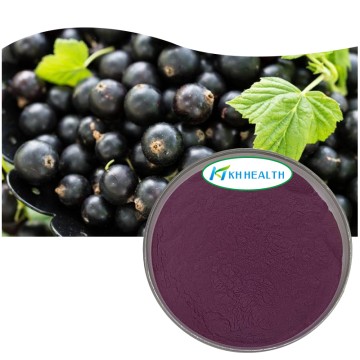 Organic Freeze Dried Acai Powder Manufacturer