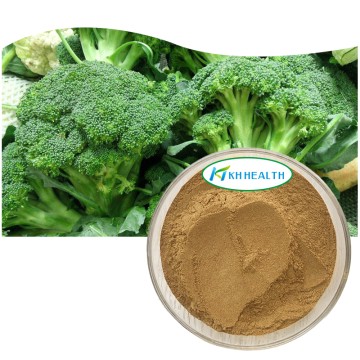 Organic Broccoli Extract Supplier
