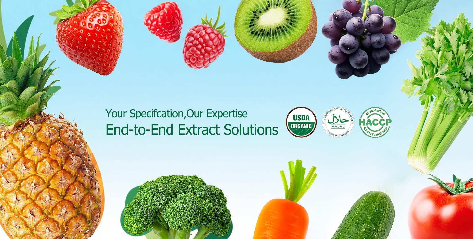 Organic Fruit & Vegetable Powder