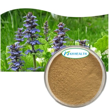 Ajuga Turkestan ekstrakt 10% Turkesterone