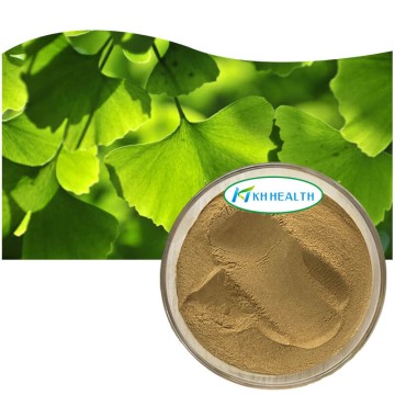 Ginkgo-ekstrakt 24% flavonoider glykosid 6% terpenlakton