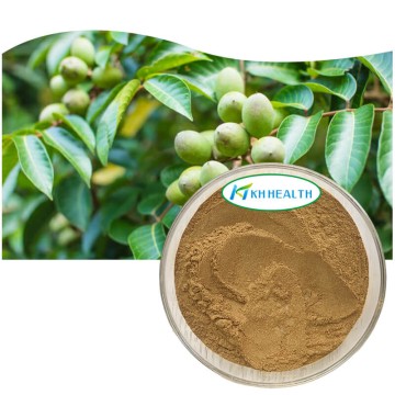 Olivenbladekstrakt Hydroxytyrosol 10%