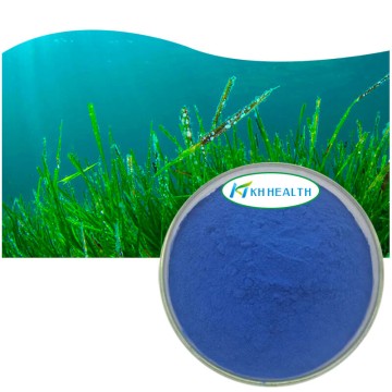 Blå Spirulina Phycocyanin Pulver E18