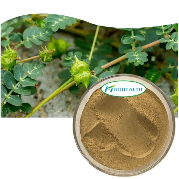 Tribulus Terrestris-ekstrakt 45% saponiner