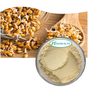 Wheat Germ Extract 1% Spermidine
