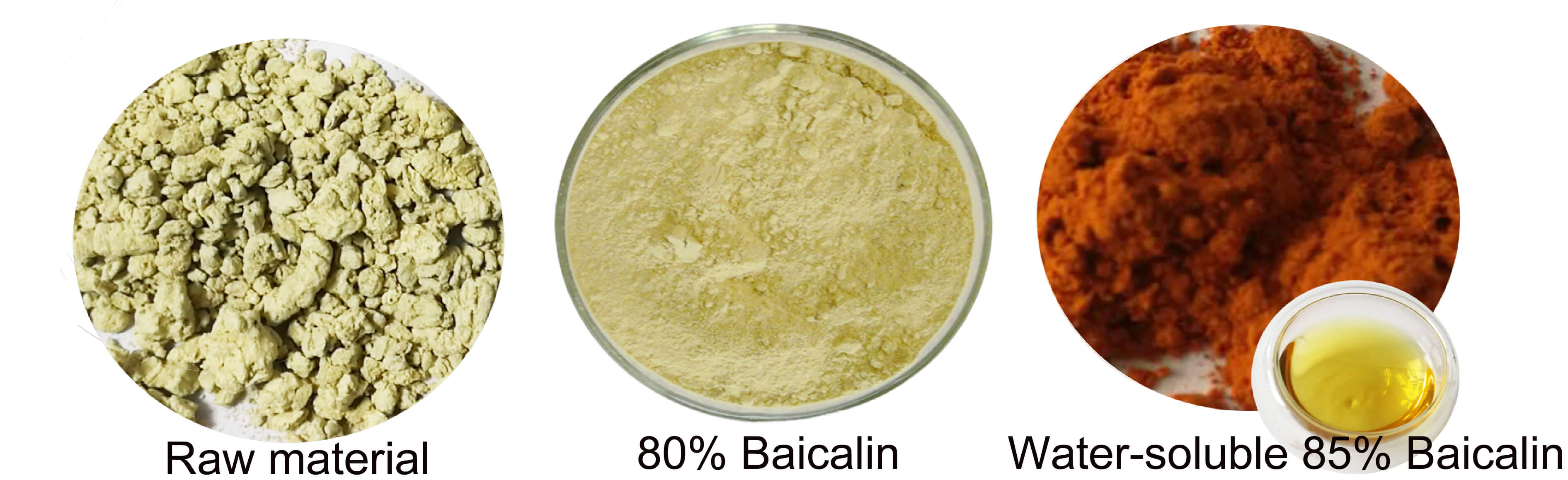 85% 90% 95% Baicalin
