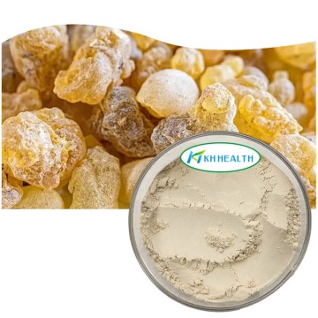 Frankincense Resin Boswellia Serrata-ekstrakt