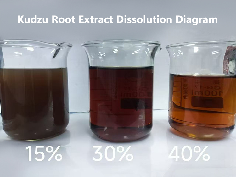 Kudzu Root Extract Dissolution Diagram
