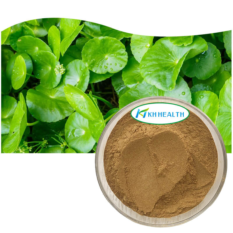 Centella asiatica ekstrakt.jpg