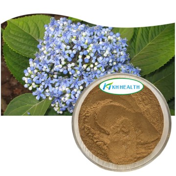 Chang Shan (Dichroa Febrifuga) Extract