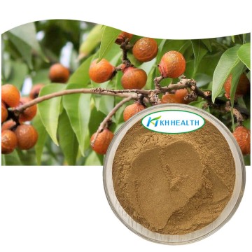 Soapnut extract powder 40% saponin manufacturers