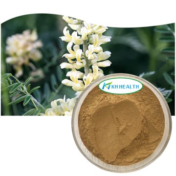 Sophora alopecuroides ekstraktpulver