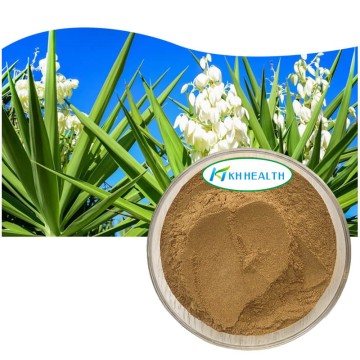 Yucca schidigera rod ekstrakt pulver