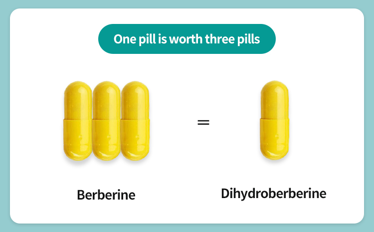 Hvilken dihydroberberin er bedst?