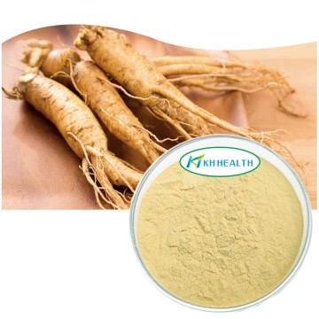 Ginseng ekstrakt ginsenosid