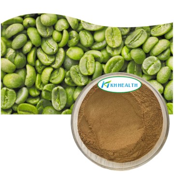 Green coffee bean extract chlorogenic acid