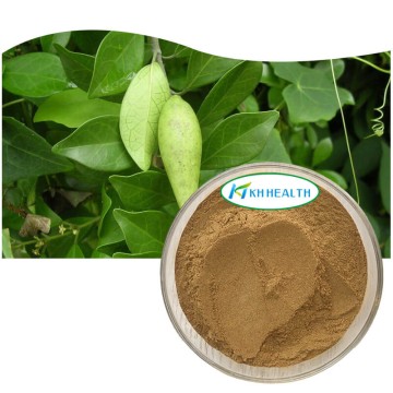 Gymnema sylvestre ekstraktpulver