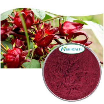 Hibiscus sabdariffa roselle flower extract