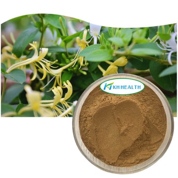 Honeysuckle flower extract powder