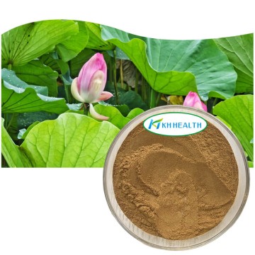 Lotus leaf extract powder
