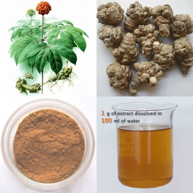 Panax notoginseng rodekstrakt