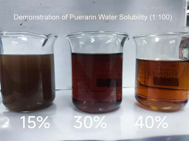 Puerarin Water Solubility