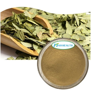 Senna leaf extract powder