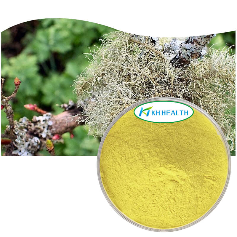 Usnea-uddrag.jpg