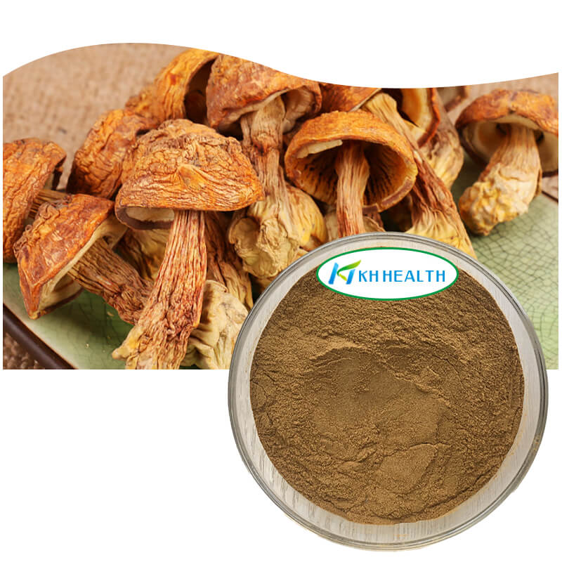 Agaricus blazei extract.jpg