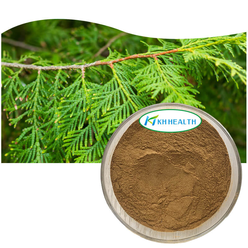 Arborvitae-bladekstrakt.jpg