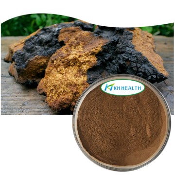 Inonotus obliquus (chaga-svamp) ekstrakt