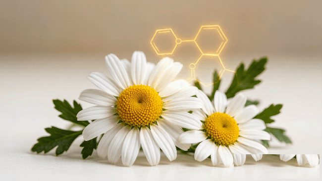 What is apigenin 98% good for？