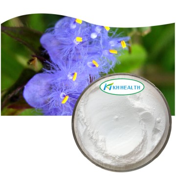 Cyanotis arachnoidea extract ecdysterone