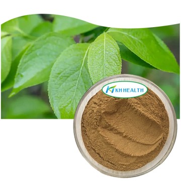 Eucommia leaf extract chlorogenic acid