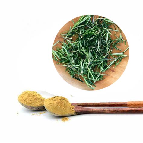 Food antioxidant natural rosemary extract 2%-50% rosmarinic acid powder