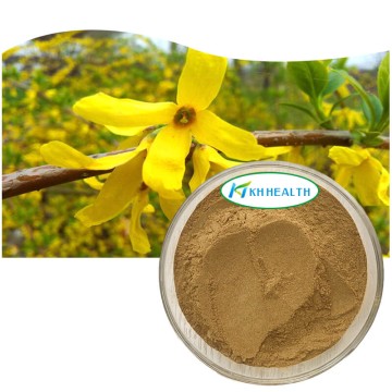 Forsythia suspensa fruit extract forsythin (phillyrin)