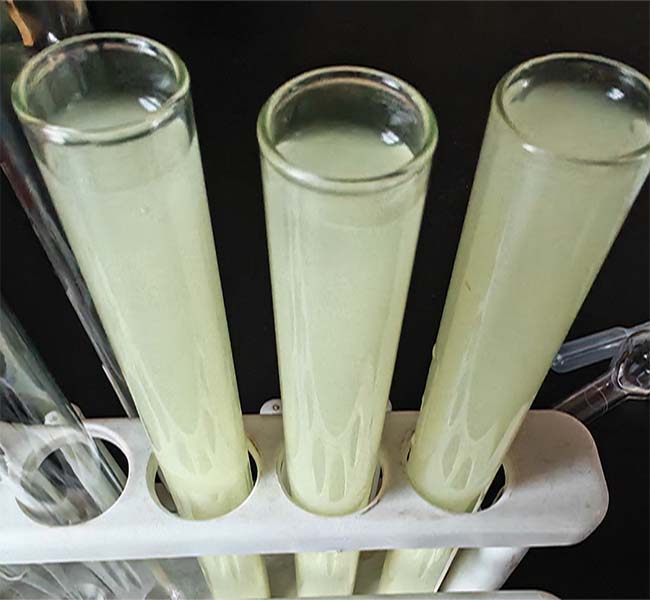 grapefruit extract (naringin)